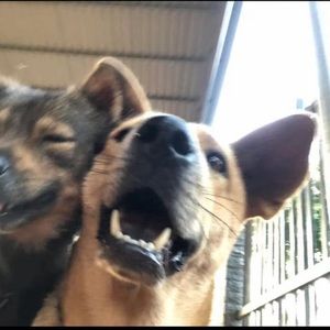 Meet your Posher, An